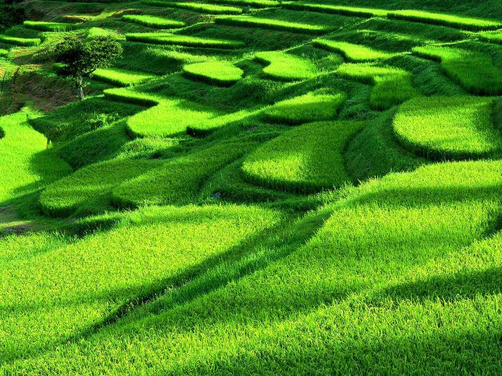 裝配式彩燈智造車間暨彩燈創(chuàng)研中心竣工環(huán)境保護(hù)驗(yàn)收情況公示
